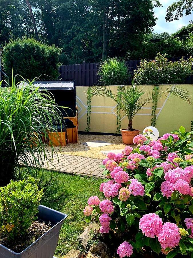 Ferienhaus Am Osterberg 크베들린부르크 외부 사진